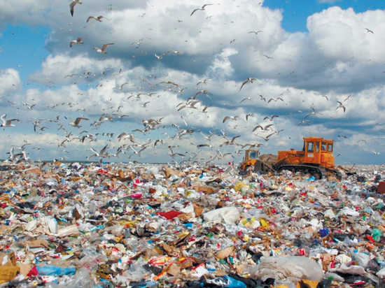 Смертельная борьба России с мусором