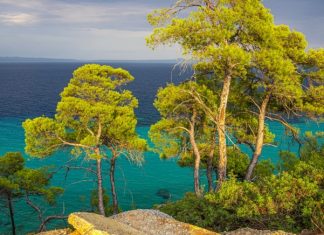 Стало известно, где дешевле всего отдохнуть в конце мая — начале июня