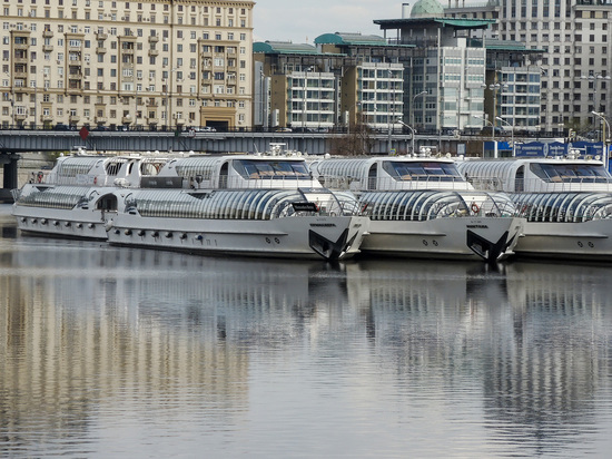 В России ограничат доступ к данным о владельцах судов
