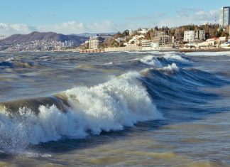В Сочи планируют ввести электронную однократную визу для иностранцев