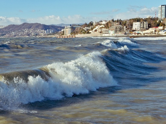 В Сочи планируют ввести электронную однократную визу для иностранцев