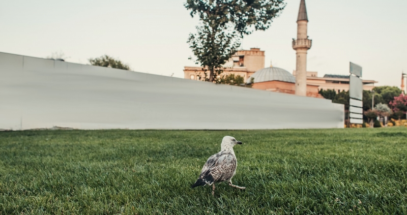 В Турции вводят дополнительные ограничительные меры с 7 мая