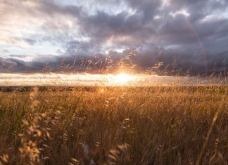 Вильфанд рассказал, что температуры Северного полушария летом будут выше нормы
