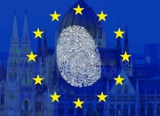 Власти Евросоюза планируют ужесточить правила выдачи шенгена