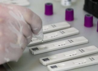 ВОЗ: число случаев COVID-19 в мире превысило 167,5 млн