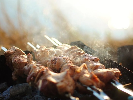 Врач предупредил россиян об опасности шашлыков на природе