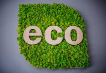 Польза эко продуктов