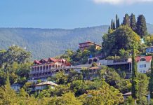 Не для любителей «понтовых отелей»: россиянин делится восторженными впечатлениями от отдыха в Гагре