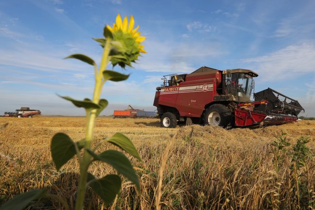 Попова сообщила, какие опасные штаммы COVID-19 распространены в России