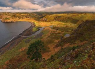 В Японии решение «Курильского вопроса» увязали с Путиным