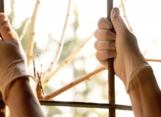 В Москве пока не собираются вводить локдаун