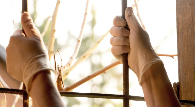 В Москве пока не собираются вводить локдаун