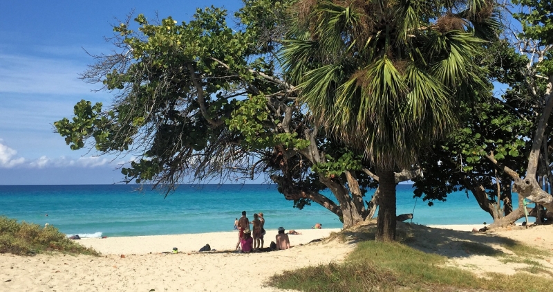Стало известно, когда могут стартовать рейсы на Варадеро