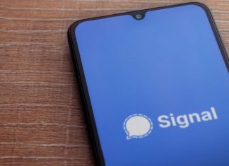 Миграция из WhatsApp: сотрудники Signal опасаются террористов