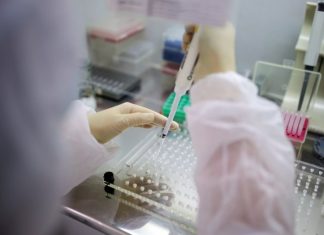 Как быстро пройти ПЦР-тест в Беларуси