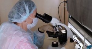 Роспотребнадзор разработал высокоточный экспресс-тест на COVID-19