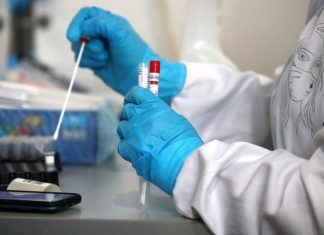 Роспотребнадзор создал тест по выявлению британского штамма COVID-19