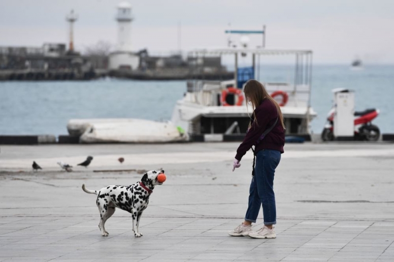 Эпидемиолог: При оттепели возможны суточные колебания заболеваемости COVID-19