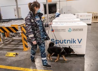 «Спутник V» завоевывает мир: Россия станет фармацевтическим гигантом