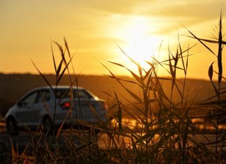Врачи рассказали, как подготовиться к длительным поездкам на машине