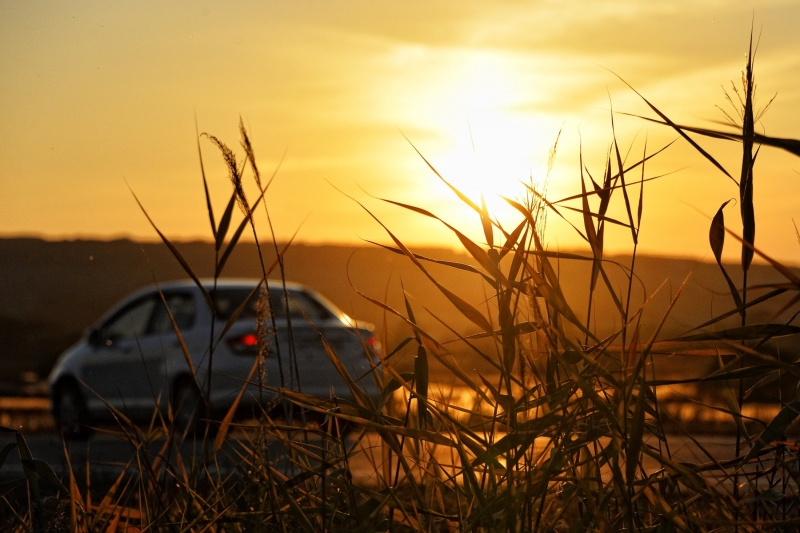 Врачи рассказали, как подготовиться к длительным поездкам на машине