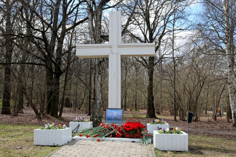 Александр Румянцев: В России на здравоохранение тратится денег вдвое меньше, чем в среднем в мире