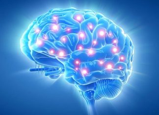 Что такое биоакустическая коррекция головного мозга