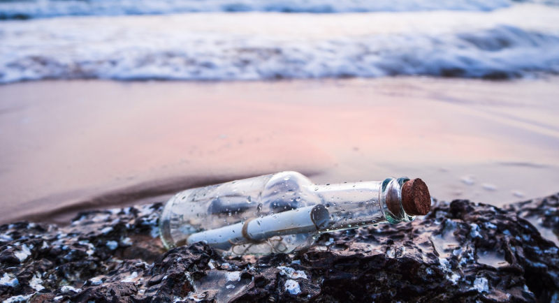 Польская туристка бросила бутылку с посланием в Финский залив и получила ответ спустя 10 лет
