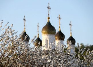 РПЦ заявила о недопустимости убийства эмбрионов даже для науки