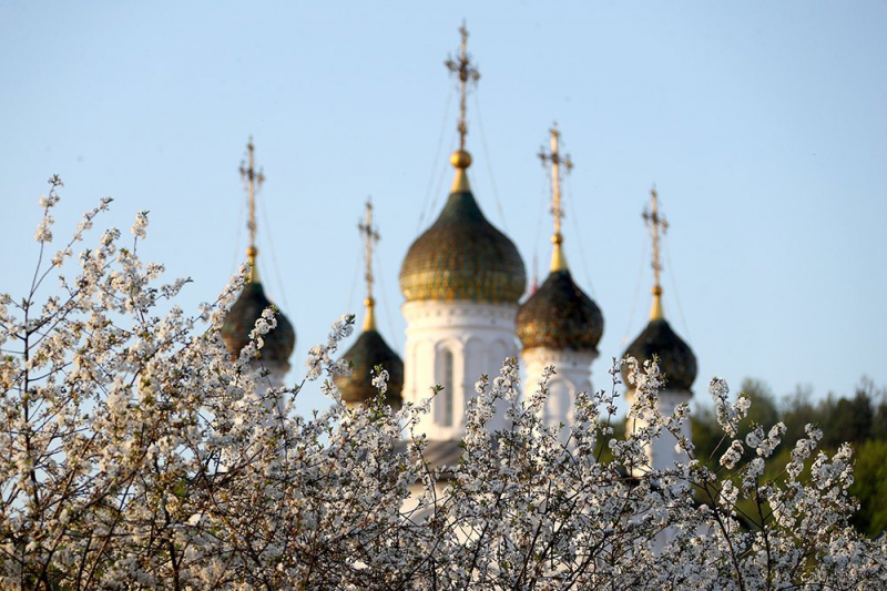 РПЦ заявила о недопустимости убийства эмбрионов даже для науки