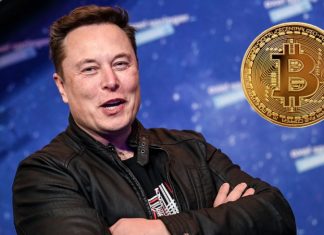 «Талантливый манипулятор»: зачем Маск роняет биткоин