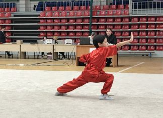 «В Татарстане более 500 человек занимаются ушу»