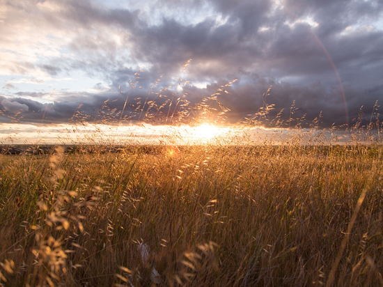 Вильфанд рассказал, что температуры Северного полушария летом будут выше нормы