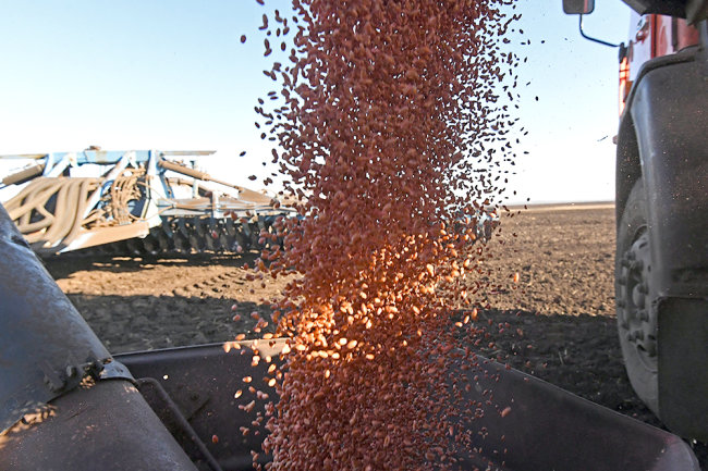 В России началось производство лекарства на основе крови переболевших COVID