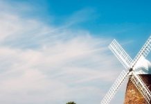 Экспорт сельскохозяйственной продукции в Украине