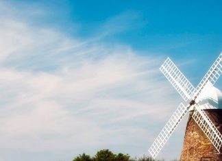 Экспорт сельскохозяйственной продукции в Украине