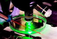 Для онкопрепаратов CAR-T нужны особые правила регистрации