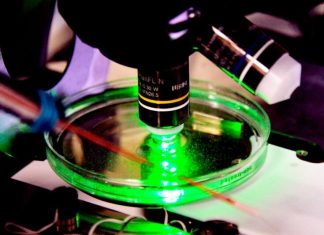 Для онкопрепаратов CAR-T нужны особые правила регистрации