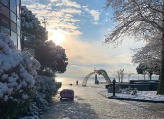 Душ по часам, заборы и лечение на совесть: туристка рассказывает о санаторном отдыхе в Ялте