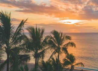 Египет неофициально смягчил условия въезда для россиян, привитых «Спутником Лайт»