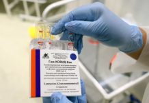 Гинцбург исключил планы адаптировать «Спутник V» к индийскому штамму