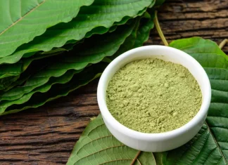 Кратом: что это и как правильно использовать для пользы организма