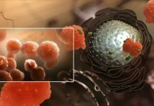 Иммунотерапия при онкологии: современный подход к лечению рака