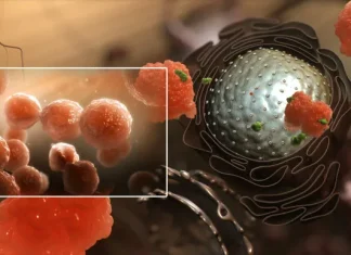 Иммунотерапия при онкологии: современный подход к лечению рака