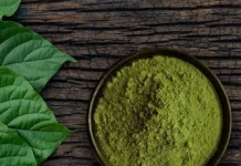 Чай Кротом: эликсир молодости и здоровья