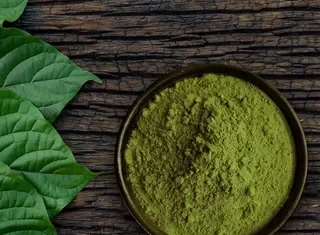 Чай Кротом: эликсир молодости и здоровья