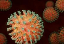 Иммунолог сообщил об эволюции коронавирусного штамма «дельта»