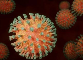 Иммунолог сообщил об эволюции коронавирусного штамма «дельта»