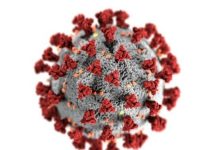 Инфекционист: постковидный синдром может длиться более 2 лет