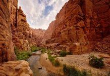 Иордания отменяет ПЦР-тесты для иностранных туристов